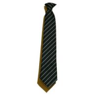 Chailey Tie - For years 7,8,9.